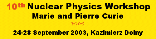 10th Nuclear Physics Workshop 2003